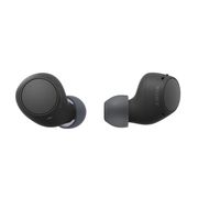 Sony True Wireless Earphones - Black
